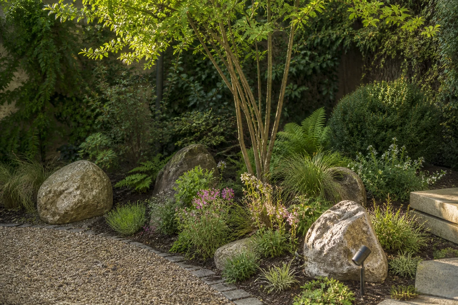 Jardín de grava y piedra después de la plantación