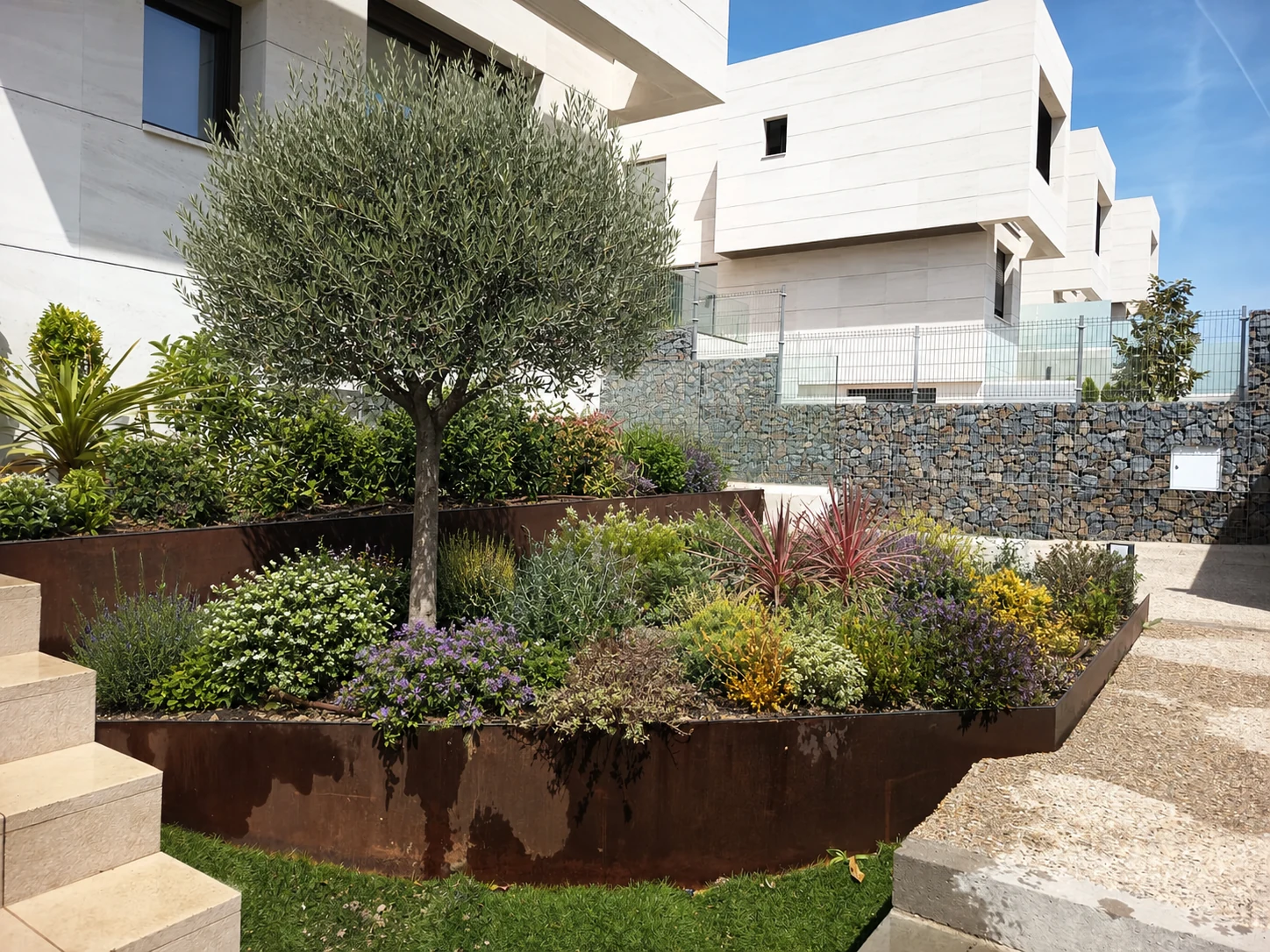 Parterres elevados de acero corten terminados con olivo y plantación ornamental