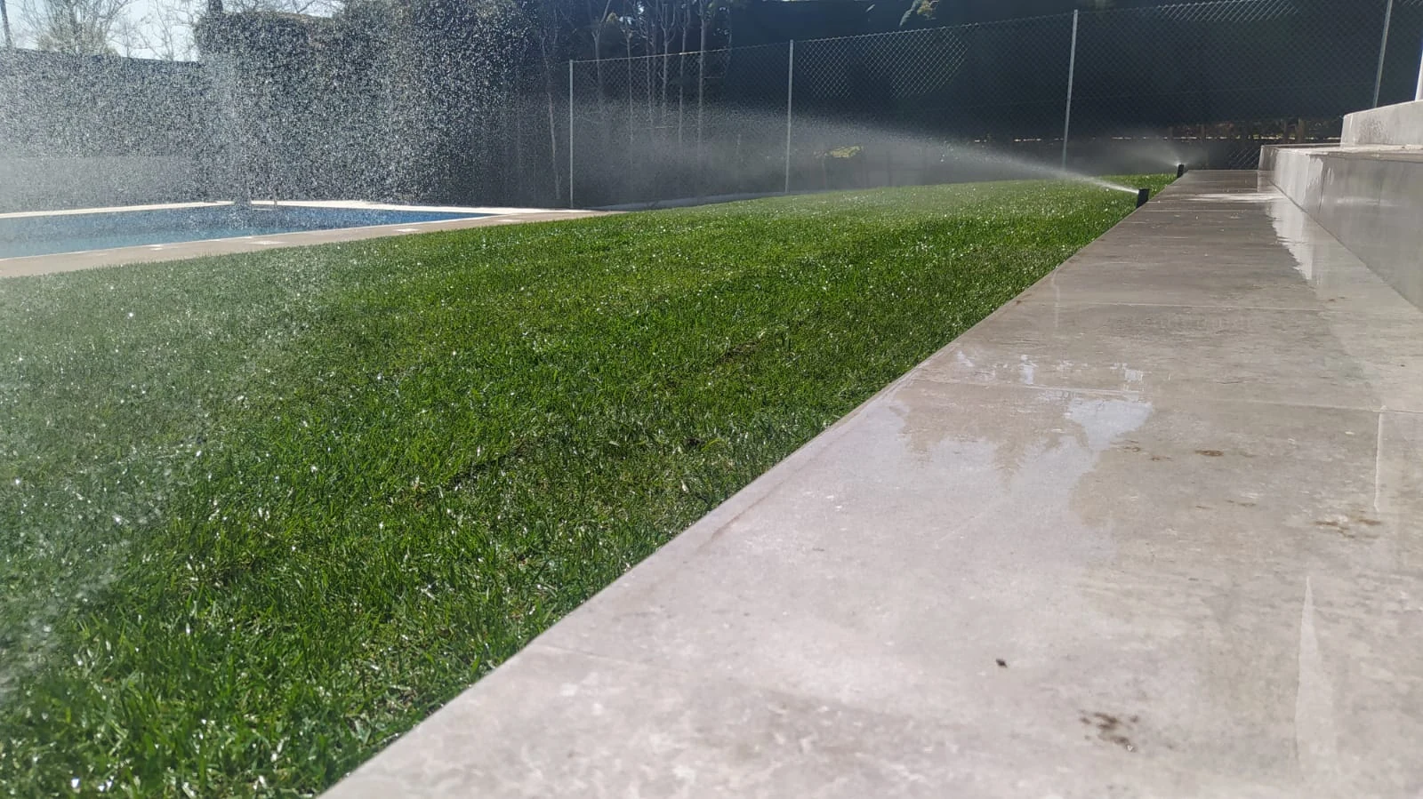 Césped natural instalado junto a la piscina durante la comprobación del riego